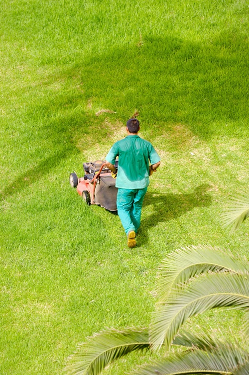 Man Mowing lawn in the field image