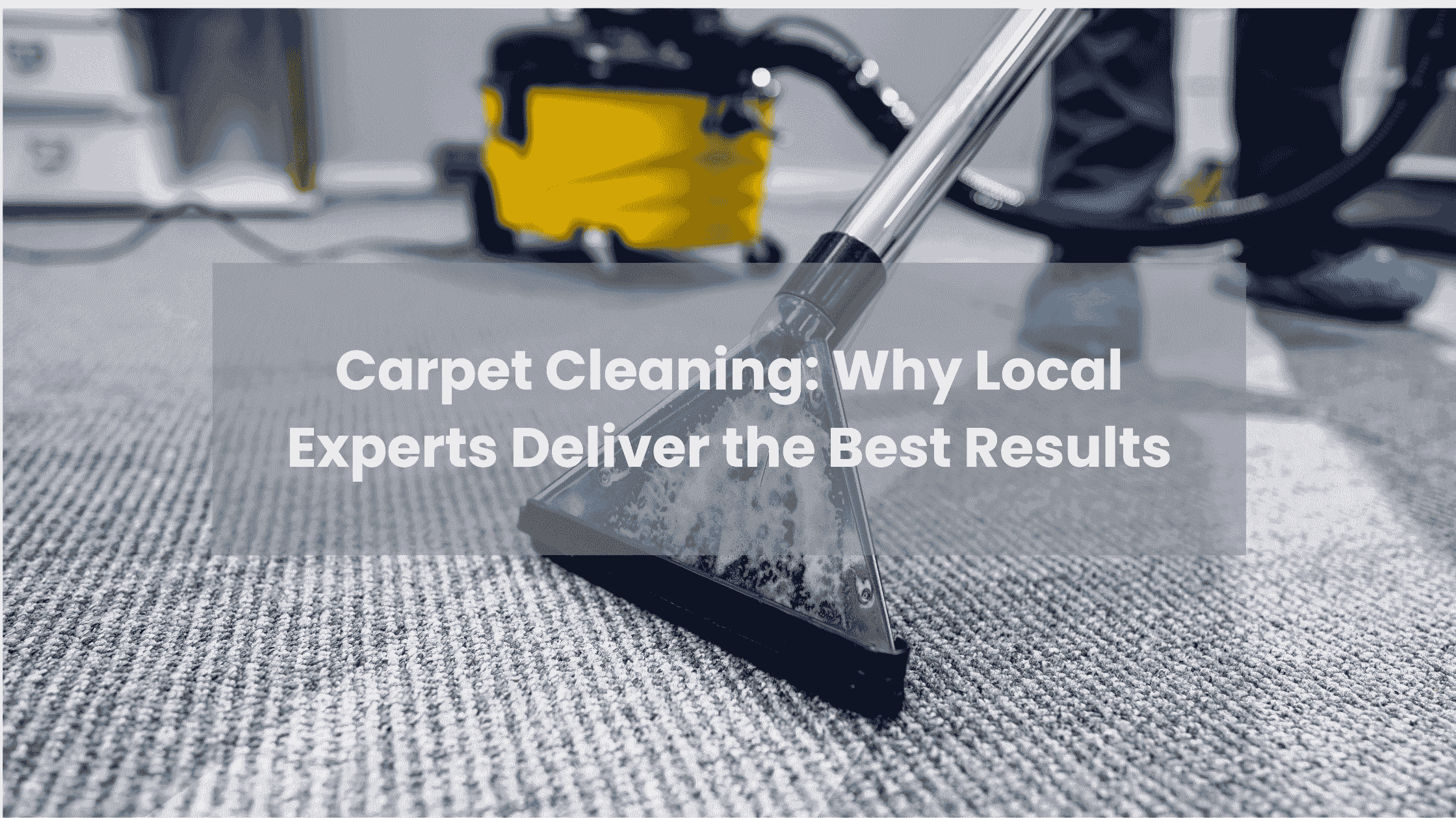 Local carpet cleaner cleaning carpet in Hamilton blog image