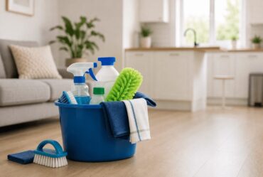 Professional Cleaners